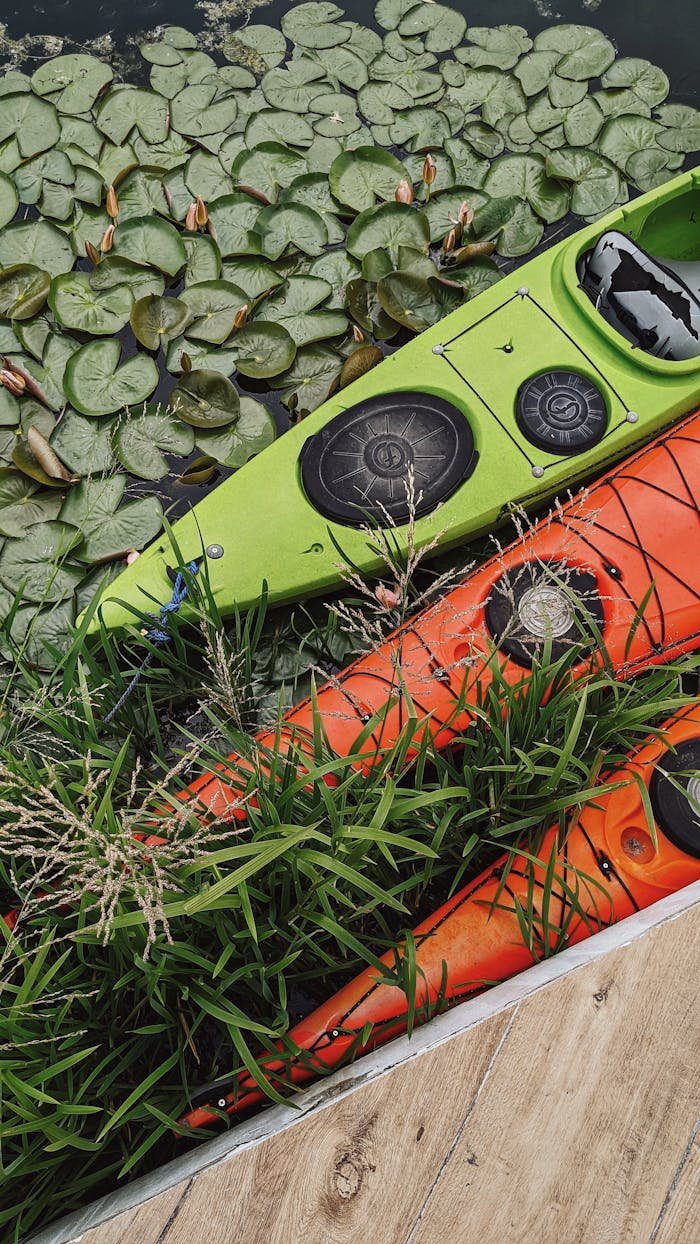 Vibrant kayaks docked by a lush lily pad-covered pond in Ukraine.