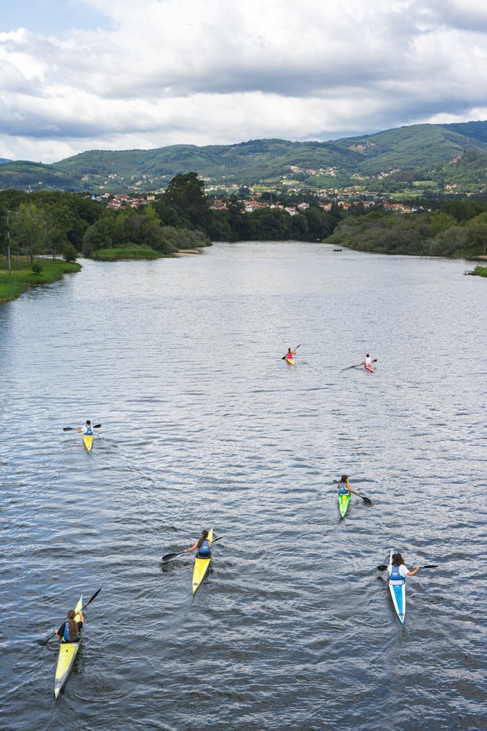 Kayakers paddle on Lima River in Ponte de Lima, Portugal, showcasing teamwork in a scenic landscape.